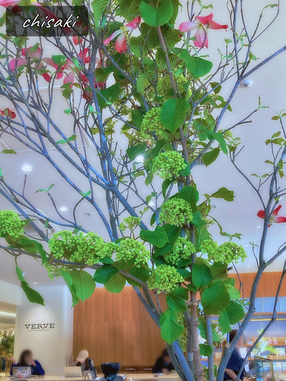 アップロード画像