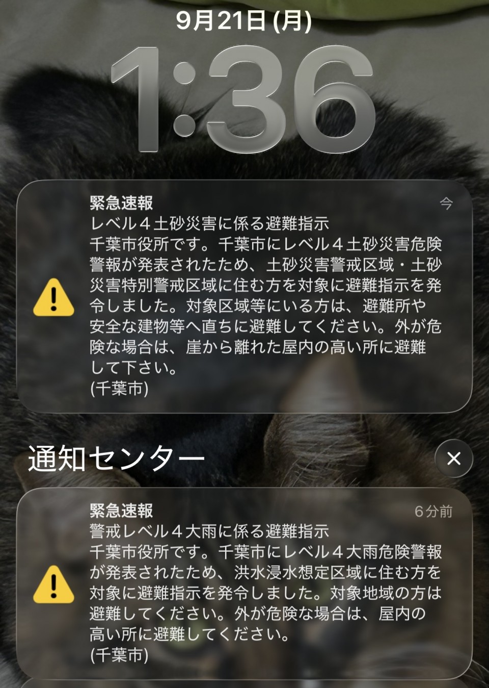 アップロード画像